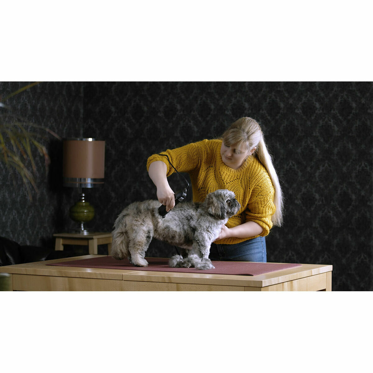 V3H66606C80E395D6960B64F2AAB526F187R7376398P6