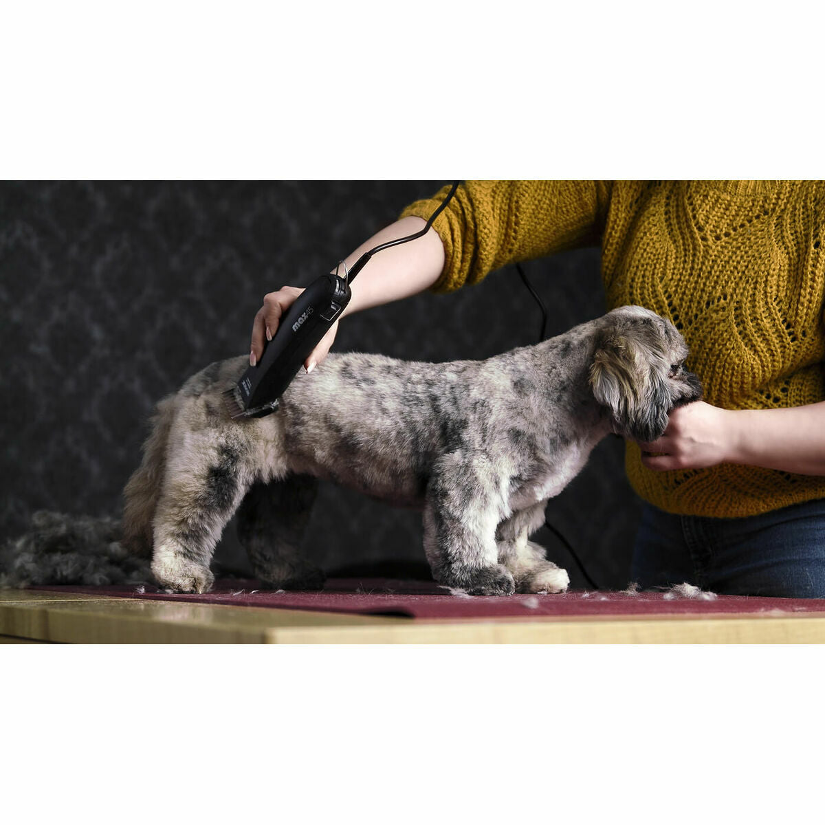 V3HF719C8402DBD852C71FA16E2E108D14AR7376403P7