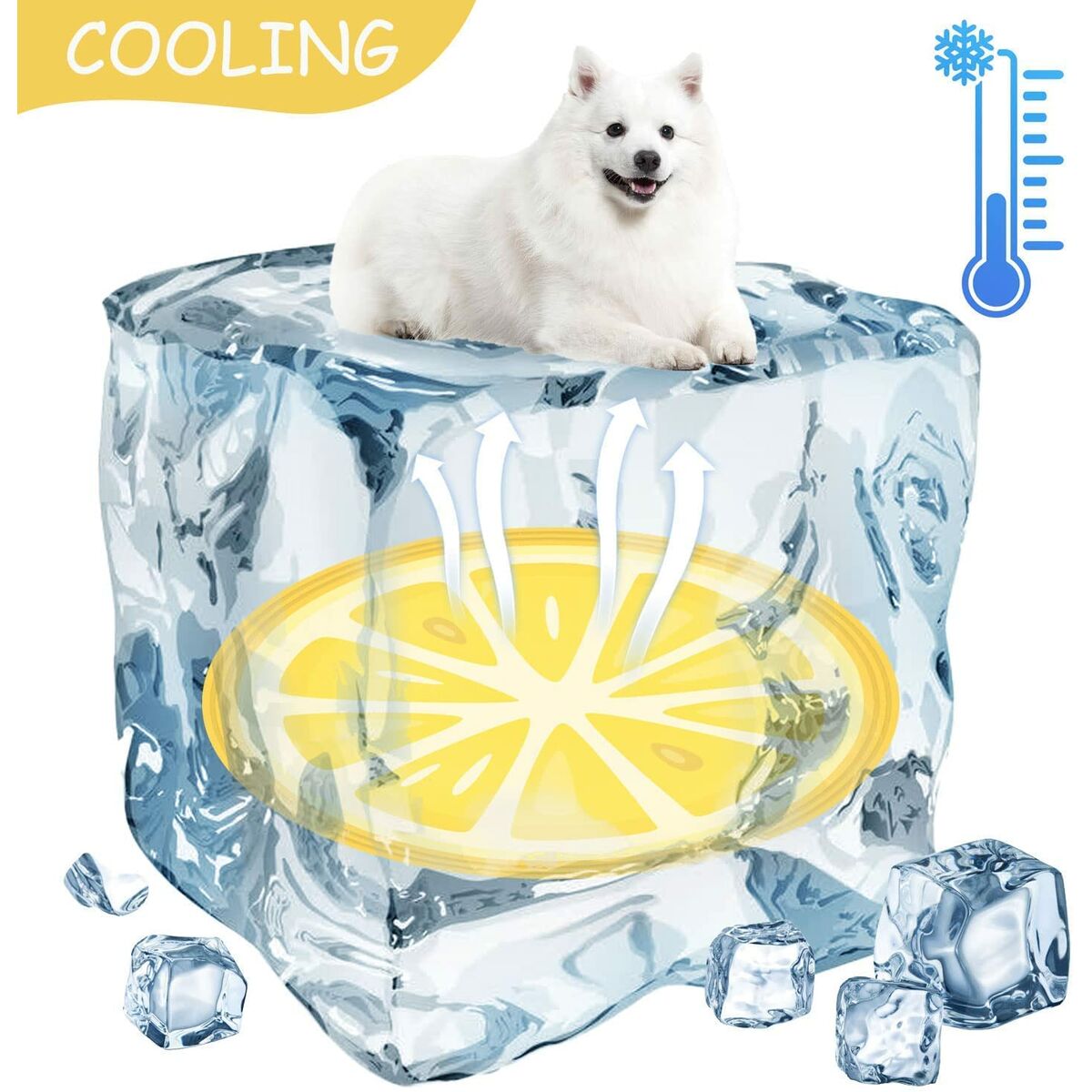 V2HD11AE951531071BB0EAF21C49A8AD5A5R7185962P7